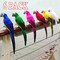 6Pcs Artificial Parrot Simulation Fake Birds Home Garden Yards Lawn Decor 25CM